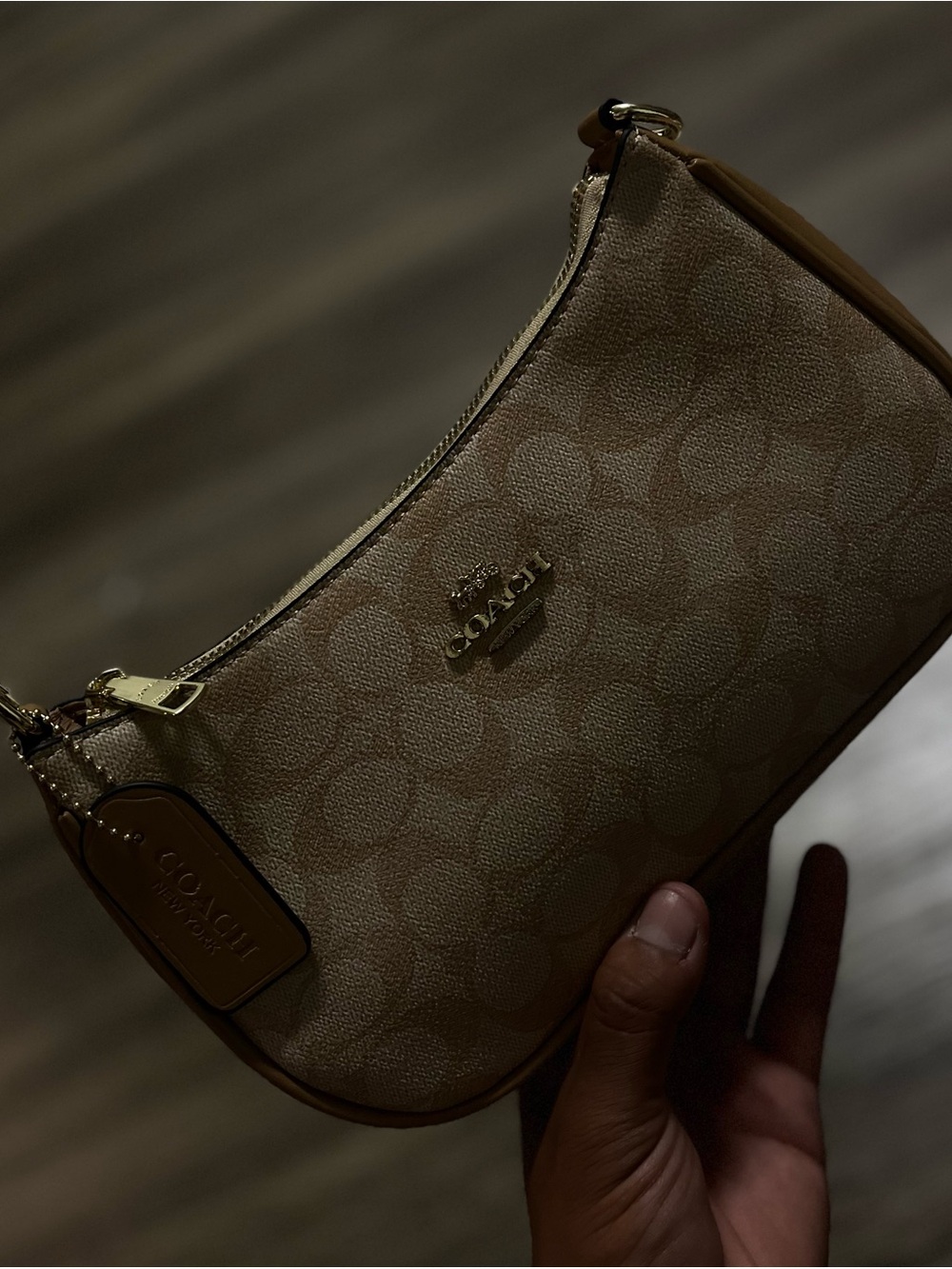 Coach bag